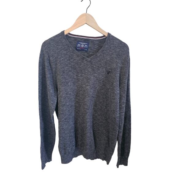 American Eagle Outfitters V-Neck Pullover Sweater Mens Large Preppy Retro Sport - Picture 1 of 8